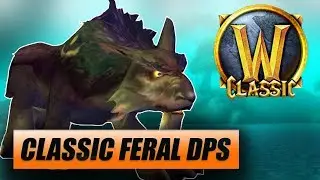 Classic WoW Feral Druid DPS