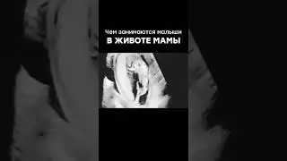 Чем занимаются малыши в животе мамы