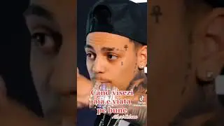 Cand visezi aia e viata pe bune Albert Nbn 🫠