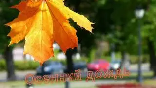 Осенний дождь