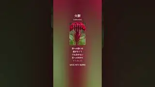 火群