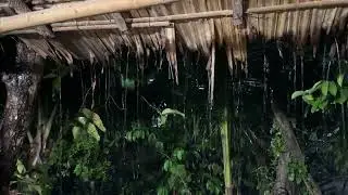 Mưa Đêm