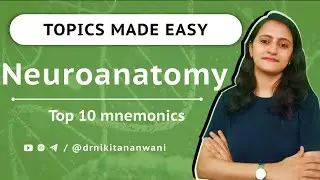Neuroanatomy - Top 10 mnemonics | Anatomy tricks| Dr. Nikita Nanwani 