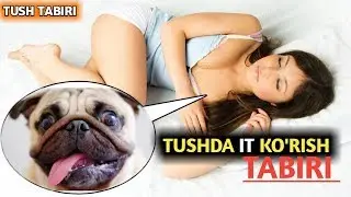 TUSHDA IT KO`RISH | ТУШДА ИТ КУРИШ туш табири