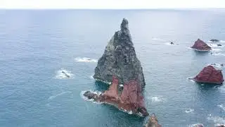 Ecossítio - Baía dos Leixões