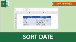 How To Sort By Date In Excel | Beginner Tutorial
