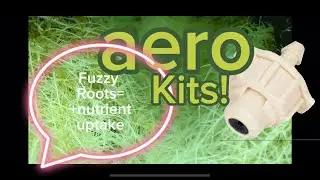 Use THIS #aeroponics #growkit for #fuzzyroots INCREASED nutrient absorption