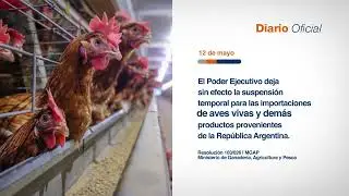 Hoy en el Diario Oficial • 12 de mayo 2026