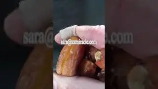 Saudi Arabia date pitter and slit/Dry date pitting machine