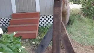 (9) A falling tree that needs an A Frame support