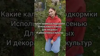 Осенние удобрения: какие выбрать для вашего сада #огород #дачасадогород #удобрения #подкормки #дача