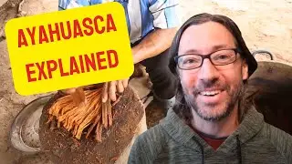 AYAHUASCA & HEALING- What it's all about (Carlos Tanner)