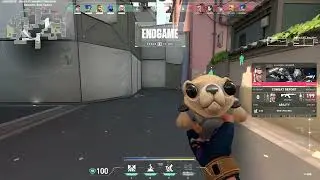 Cute teddy bear in Valorant