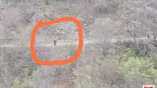 Define Haritası Buldum !!!
Sonra Biri Belirdi !!! İnmidir Cinmidir