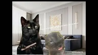 Мем коты первая часть