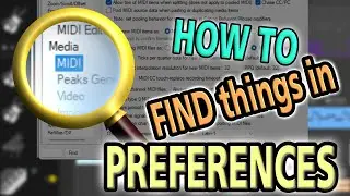 #104 - ▶️ Reaper: how to search in Preferences [FlashTorial ENGLISH]