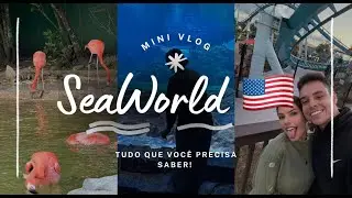 As melhores atrações do SeaWorld e TUDO O QUE VOCÊ PRECISA SABER!! VLOG com valores em ORLANDO.