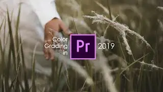 Color Grading di ADOBE PREMIERE PRO CC 2019 Enak ?? Tampilan Tools Baru LUMETRI COLOR