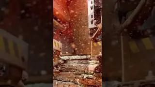 Sawmill in action
