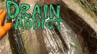 Blocked Drain 809
