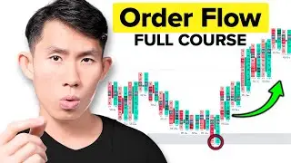 Master Order Flow Trading to Make MILLIONS (No BS Guide)