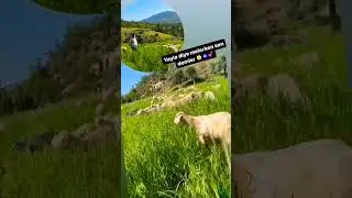 es selamün aleyküm 