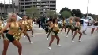 2012 USF Sundolls 