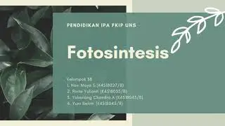 Proses Fotosintesis