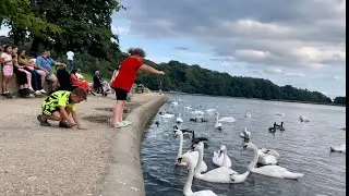 Roundhay Park Lakeside | Leeds | UK