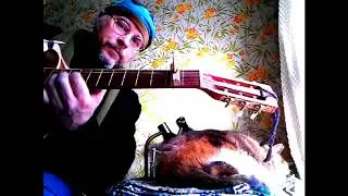 SERENADE POUR CHAT - guitar improv by David King