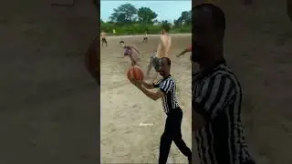 Referee catches basketball meme
