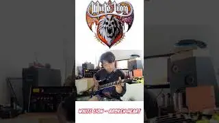 white lion - broken heart guitar korg ax 3000 roland x30