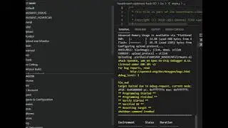Flash hoverboard sideboard with GD32F130C6T6 chip using ST-Link Utility and Visual Studio Code
