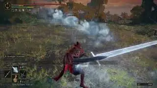 Elden Ring Intense Invasion
