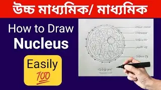 How to draw a Nucleus step by step | নিউক্লিয়াস এর চিহ্নিত চিত্র অঙ্কন পদ্ধতি