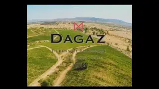 Viña Dagaz, Colchagua, CHILE. VINEYARDS AND DRONE