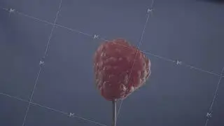 Raspberry rotating with loop on blue screen for chroma key