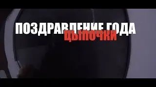 ВЛОГ :ПОЗДРАВЛЕНИЕ ГОДА ► ЦЫПОЧКИ ► ЗАГОРОДНЫЙ ОТДЫХ