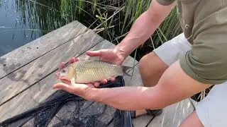 Звіт з відкриття сезону. Рибалка в Україні. Ловля карася. Fishing 🎣