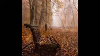 November 🍁 Noviembre 🍁 Ноябрь 🍁