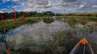 O Lago Enche e os Monstros se Escondem! Você Teria Coragem de Encarar Esse Lugar?