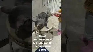 24 апреля 2024 г.