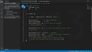 Golang Deep Dive P1 - L7 - Basic FMT
