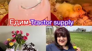 Едем покупать корм для курей🐓 | гусей и барашек￼🐏