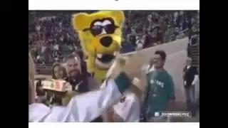 Mascot ain`t having none of that sh*t