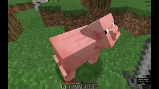 Выживаем в minecraft в режиме хардкор
