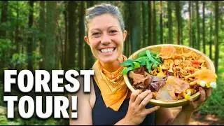What the Forest Taught Me About Gardening