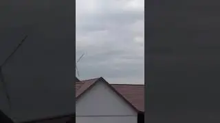 2 марта 2019 г.