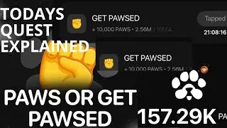 PAWS MYSTERY QUEST TODAY// PAWS OR GET PAWSED // TODAYS PAWS QUEST PAWSED +10,000🐾. 
