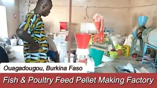 Fish&Poultry Feed Pellet Making Factory in Ouagadougou, Burkina Faso. #fishfarming #fishfeedmachine
